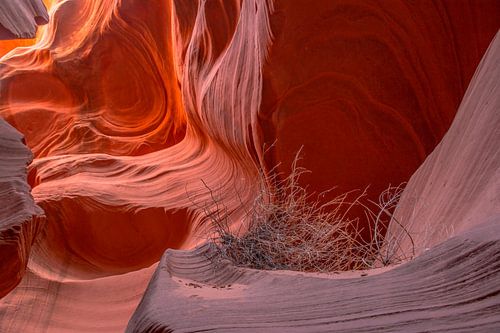 Onaardse schoonheid van Antelope Canyon