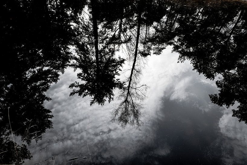 Lake and trees in The Netherlands von Wouter Bos