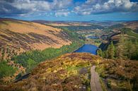 Wandelen in de Wicklow mountains van Antwan Janssen thumbnail