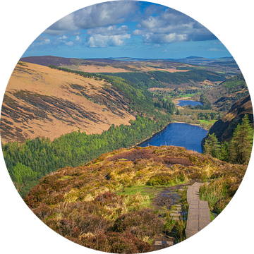 Wandelen in de Wicklow mountains