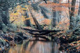 dynamique d'un cours d'eau sur Frankje Huisman