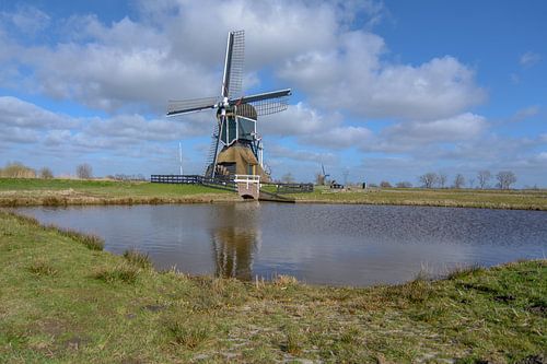 Molen in de polder