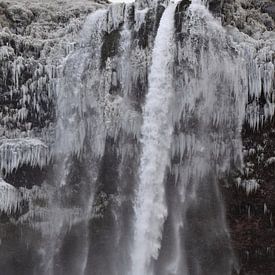 Wasserfall in Island: Seljalandsfoss von STUDIO LOT