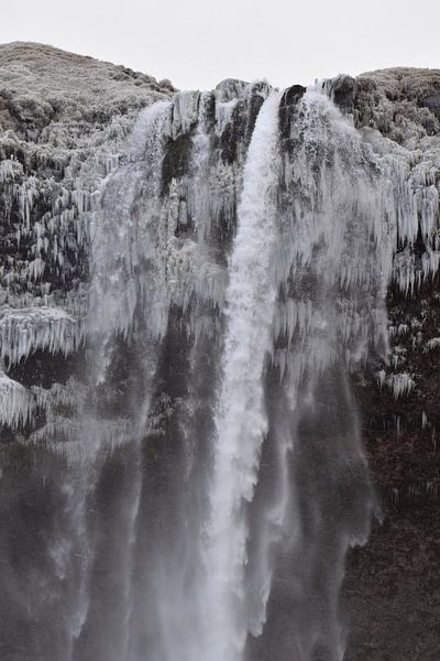 Waterfall in Iceland: Seljalandsfoss by STUDIO LOT