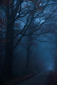 The Misty Road sur Pieter Navis