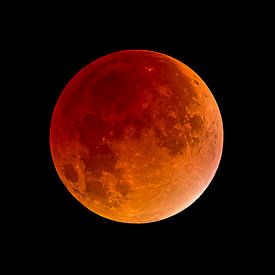 blood moon - super moon by Monarch C.