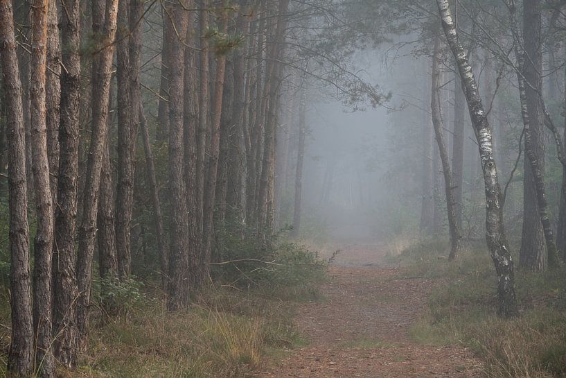 Le bout du chemin disparaît dans la brume par Anges van der Logt