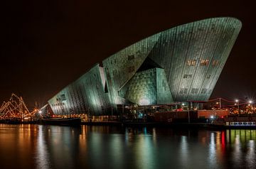 Nemo in de nacht van shoott photography