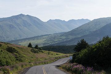 Alaska road van Dirk Fransen