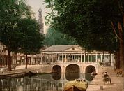 Koornbrug, Leiden von Vintage Afbeeldingen Miniaturansicht