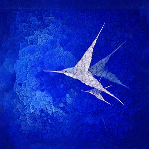 Der weiße Delphin in der blauen Tiefe