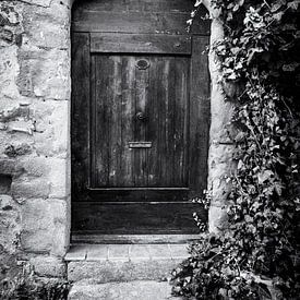 Vieille porte envahie par le lierre en France | Photographie de voyage et de rue sur Diana van Neck Photography