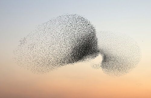 Avec l'ensemble d'entre eux
