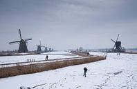 schaatsen langs de molens par Chris van Es Aperçu