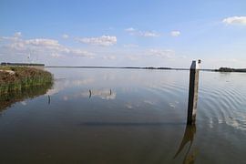 L'eau et le ciel sont bleus
