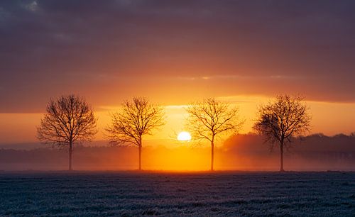 misty sunrise heesch