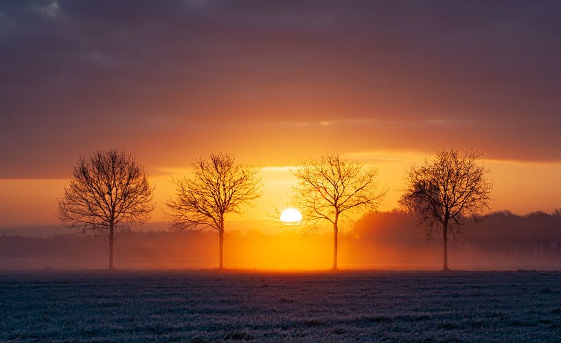 lever de soleil brumeux heesch par paul scheffers
