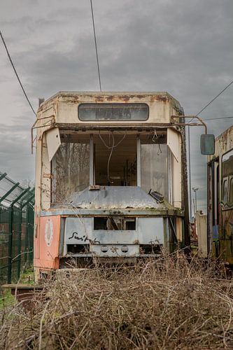 Natuur neemt over: Vooraanzicht van Overwoekerde Verlaten Tram