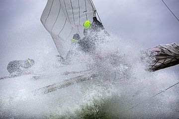 Lemsteraak en action