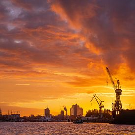 Sonnenaufgang über Hamburg, Deutschland von Alexander Ludwig