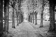 Voormalige oprijlaan naar het Gravenshof in Amby (Maastricht) van Streets of Maastricht thumbnail