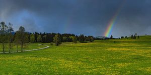 Lente en regenboog van Walter G. Allgöwer