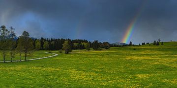 Frühling und Regenbogen