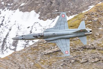 Northrop F-5E Tiger II of the Swiss Air Force. by Jaap van den Berg