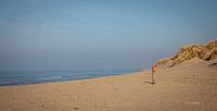 Dune landscape Zeeland