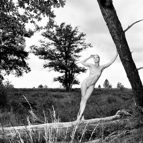 Hele mooie naakte vrouw in vintage zwart wit fotografie