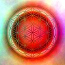 flower of life by Christine Bässler thumbnail
