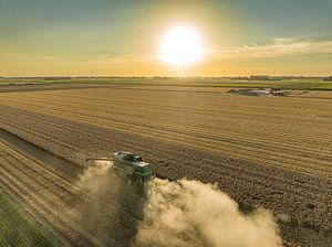 Combine Harvester bei der Weizenernte während des Sonnenuntergangs im Sommer