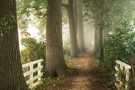 Chemin dans la brume sur Lars van de Goor