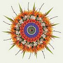 Mandala printemps par Klaartje Majoor Aperçu