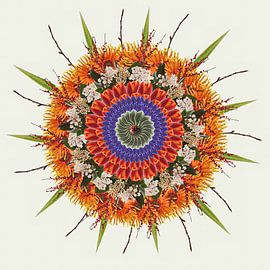 Mandala Frühling von Klaartje Majoor