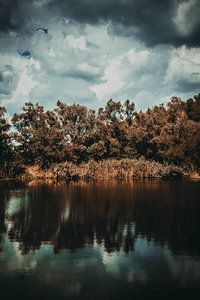 Color landscape photography