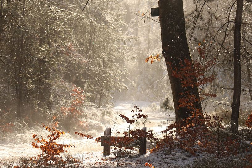 Magischer Waldplatz im Schnee von JacQ