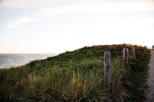 photo de plage magnifiques dunes puissantes capturent la lumière de la fin de soirée.
