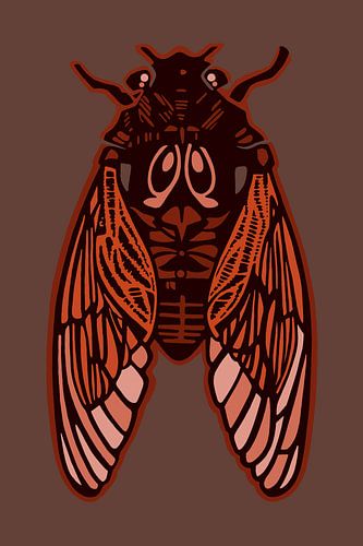 Cicada Bruin Oranje | Illustratie | Retro