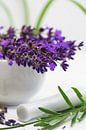 Lavender Herb Kitchen van Tanja Riedel thumbnail