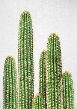 Cactus 2 van Gal Design