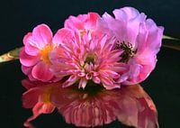 Flowerpower gespiegelt gold rosa