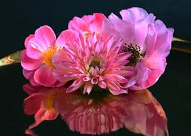 Flowerpower mirrored gold pink by raisa haveman