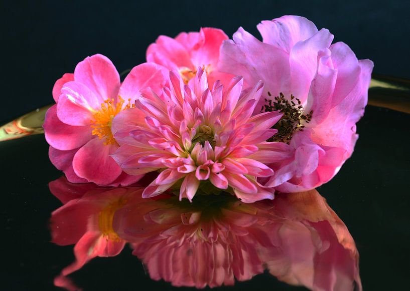 Flowerpower miroirs or rose par raisa haveman