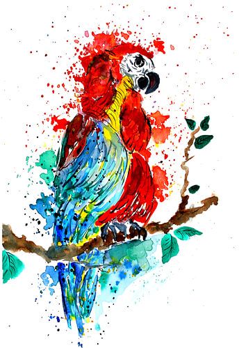 Ara Papagei