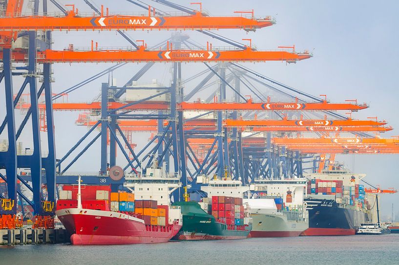 Containerschiffe auf dem Containerterminal im Hafen von Rotterd von Sjoerd van der Wal Fotografie