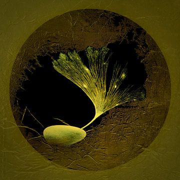 New Life. by Alie Ekkelenkamp