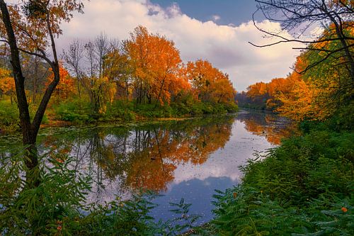autumn landscape on the river