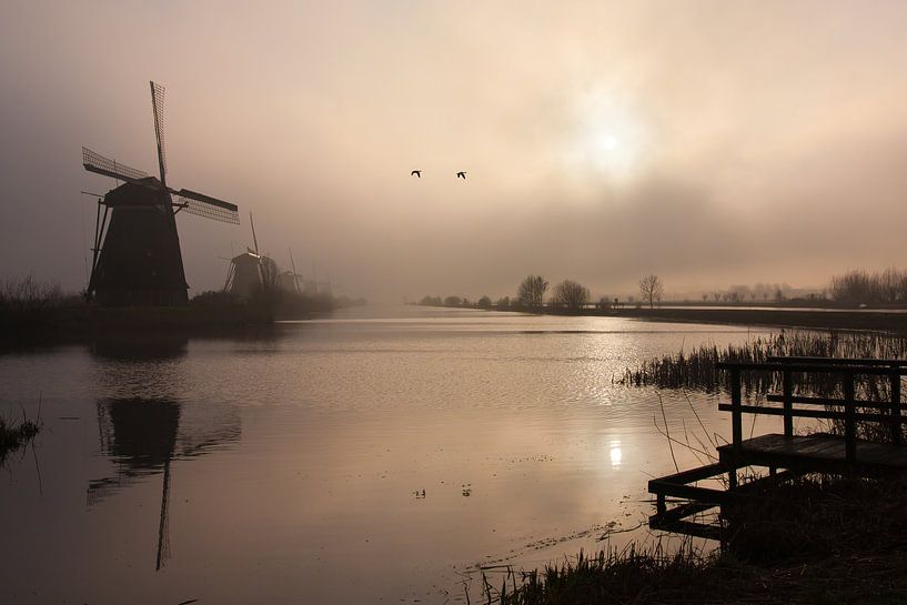 Foggy Kinderdijk by Teuni's Dreams of Reality