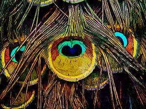 The tail of a peacock by The Art Kroep